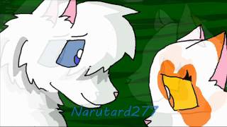 Cloudtail And Brightheart Mep Part 22 For Mishkawolf.wmv