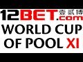 World Cup of Pool 2017