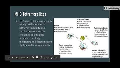 MHC Tetramers - Google Slides