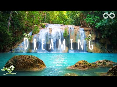 Dreaming • Uyku, Spa ve Meditasyon için Zen Müziği ve Su Sesleriyle Rahatlama