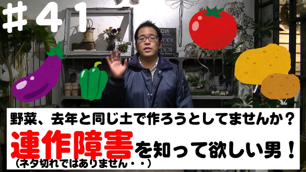 じゃがいもの連作での障害の対策 連作障害のない栽培方法 植え付け じゃがいもの連作での障害の対策 連作障害のない栽培方法 植え付け