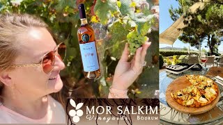 : Bodrum |  Mor Salkim, Artichoke Pizza & Ros'e Win,  2025