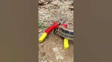 DIY Snake using Scissors #creativesnaketrap #buildsnaketrap#shortsvideo #cobra #eel #shorts #funny