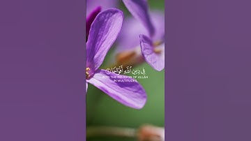 سورة النصر كاملة | القارئ بيشه قادر الكردي 🎧 تلاوة خاشعة