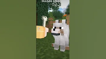 لم تحاول تروض الكلب في ماين كرافت Shorts ماين كرافت 