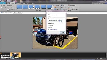 Getting a watermark on an image in Snag It