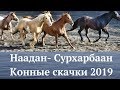 Наадан - Сурхарбаан. Конные скачки - 2019.