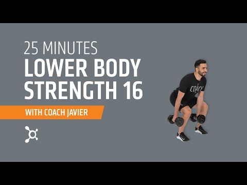 Lower Body Strength 16