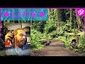 Thanksgiving Live Stream - Q&amp;A &amp; Channel (re)views - 30 min delay