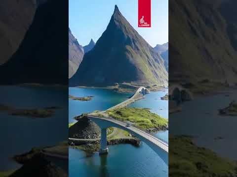 يوم يجعل الولدان شيبا تلاوة مؤثرة