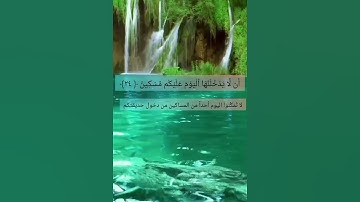 سورة القلم من ﴿٢٣﴾ إلي الآية ﴿٢٧﴾ بصوت القارئ إسلام صبحي