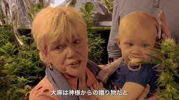 予告編：WEED THE PEOPLE — 大麻が救う命の物語 —