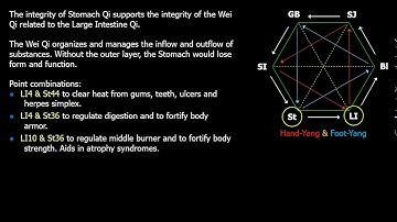 6-element acupuncture: Stomach meridian supports Large Intestine meridian