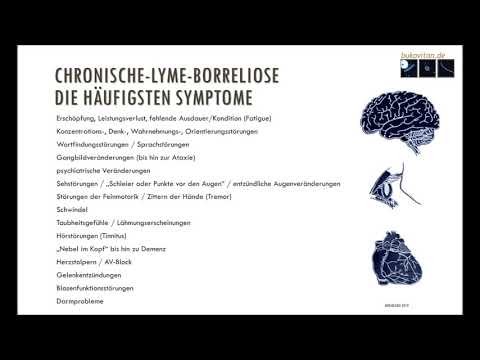 Symptome der chronischen Lyme-Borreliose Teil 13 von 14