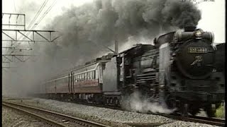 鉄道博物館 展示機関車の現役シーン EF65501,EF5889,EF551,EF62,蒸気機関車 D51498+サロンエクスプレス東京他多数 JR 高崎、信越本線 1996/6/15~ -4