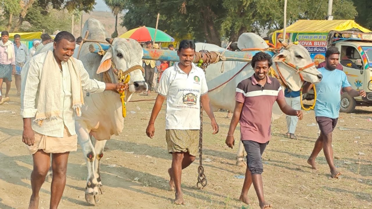 క్రిష్ణంపల్లె సేద్యపు విభాగంలో,14వ జత,బండారు.రామిరెడ్డి గారు,కుమ్మరావులపల్లె