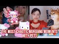 the most CHAOTIC mukbang moments with pets