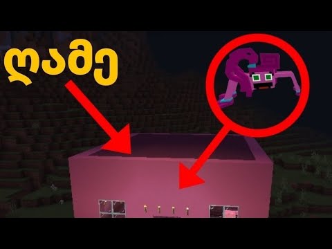 მე11#ღამე ვარდისფერი მონსტრი! რა მოხდა? დავაღწიე თავი?