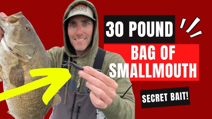 30lb+ bag of Lake Ontario Smallmouth on the 2.75 Drop Minnow