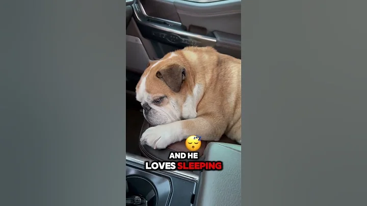 F-150 Weird Hidden Feature I Like. #fordf150