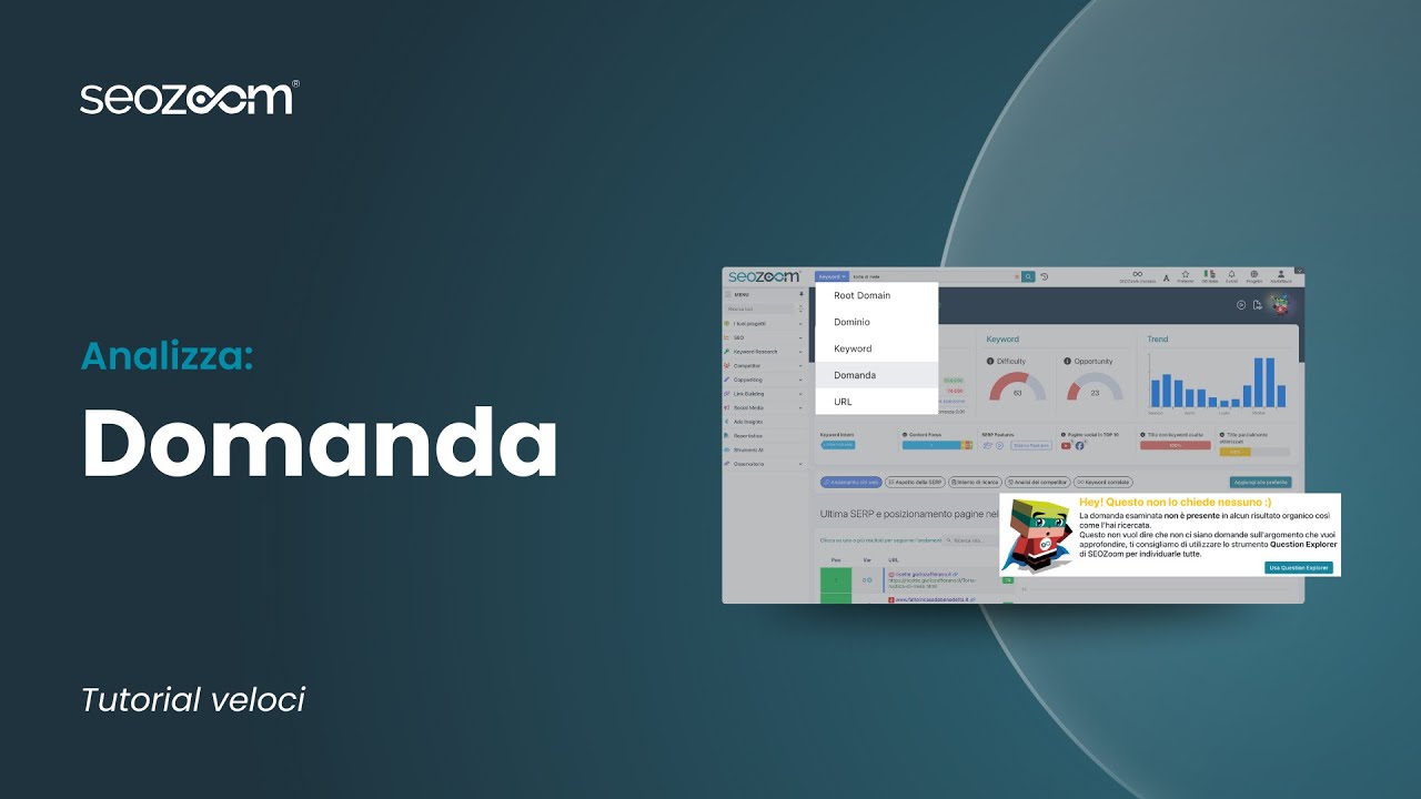 Analizza Domanda