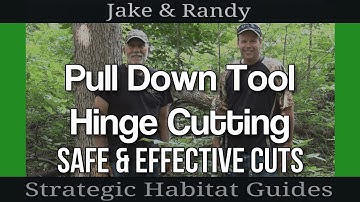 Hinge Cutting Trees: Using a Pull-Down Tool for Deer Bedding Areas