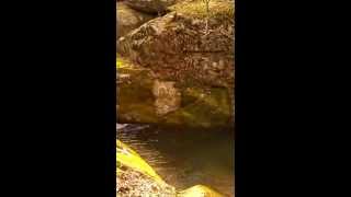 Waterfall Near Dark Hollow Falls In Skyline Drive National Park In Virginia