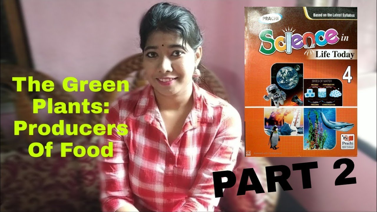 Class 4 Science Chapter 1 CBSE Board Prachi The Green Plants