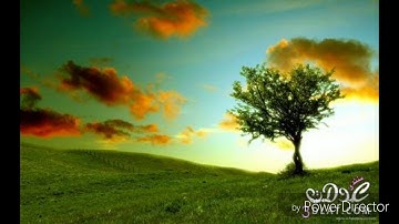 سورة الزمر من ١١ الي ١٨ للشيخ وليد جابر