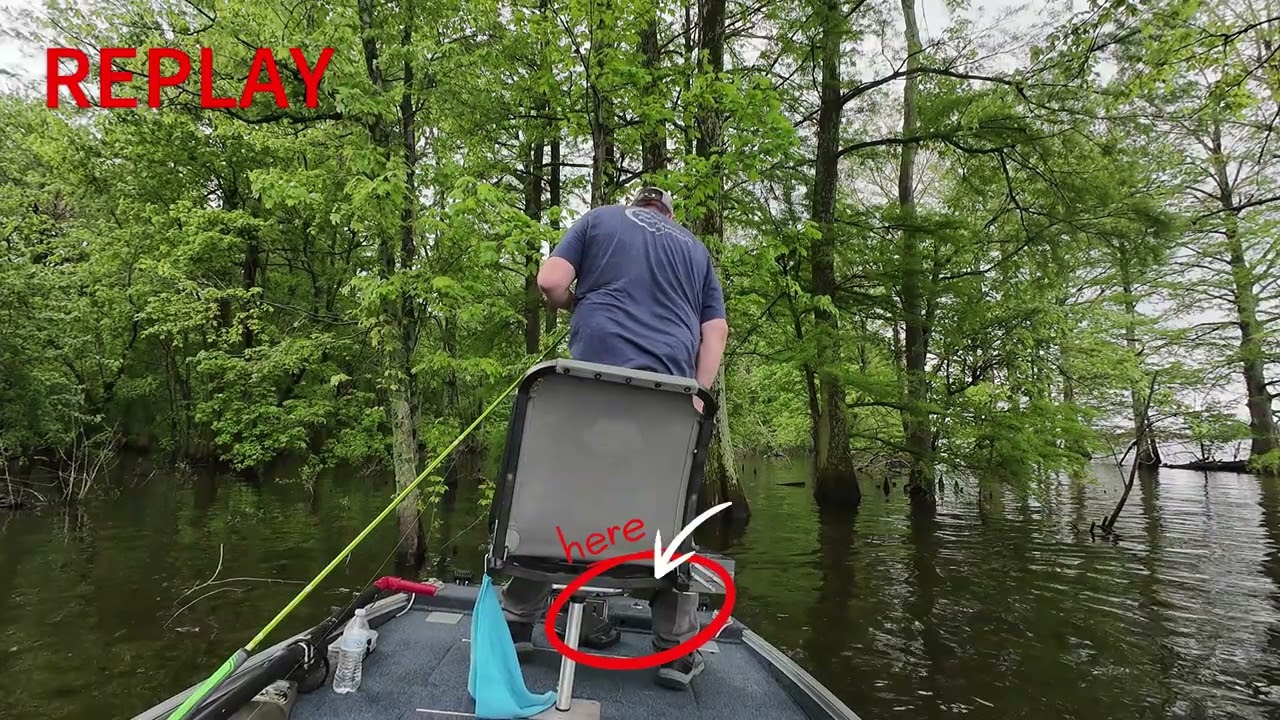 Reelfoot Lake fishing trip Day 2. 4/25/25