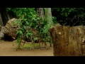 The Bridge of the Spirits (full documentary)