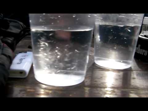Видео: Защо врящата вода замръзва по-бързо?