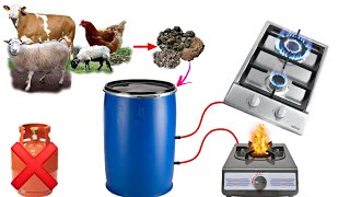I turn Animals waste into a Free Gas for cooking, New