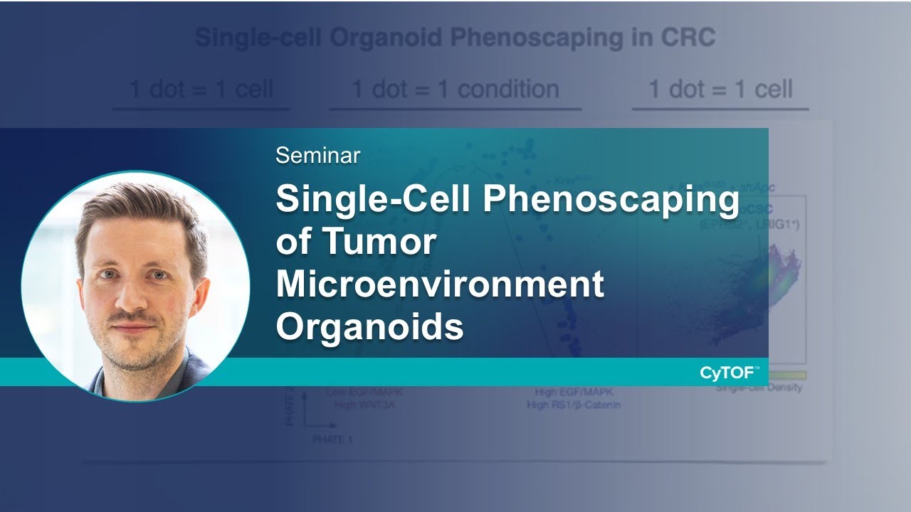 Single-Cell Phenoscaping of Tumor Microenvironment Organoids