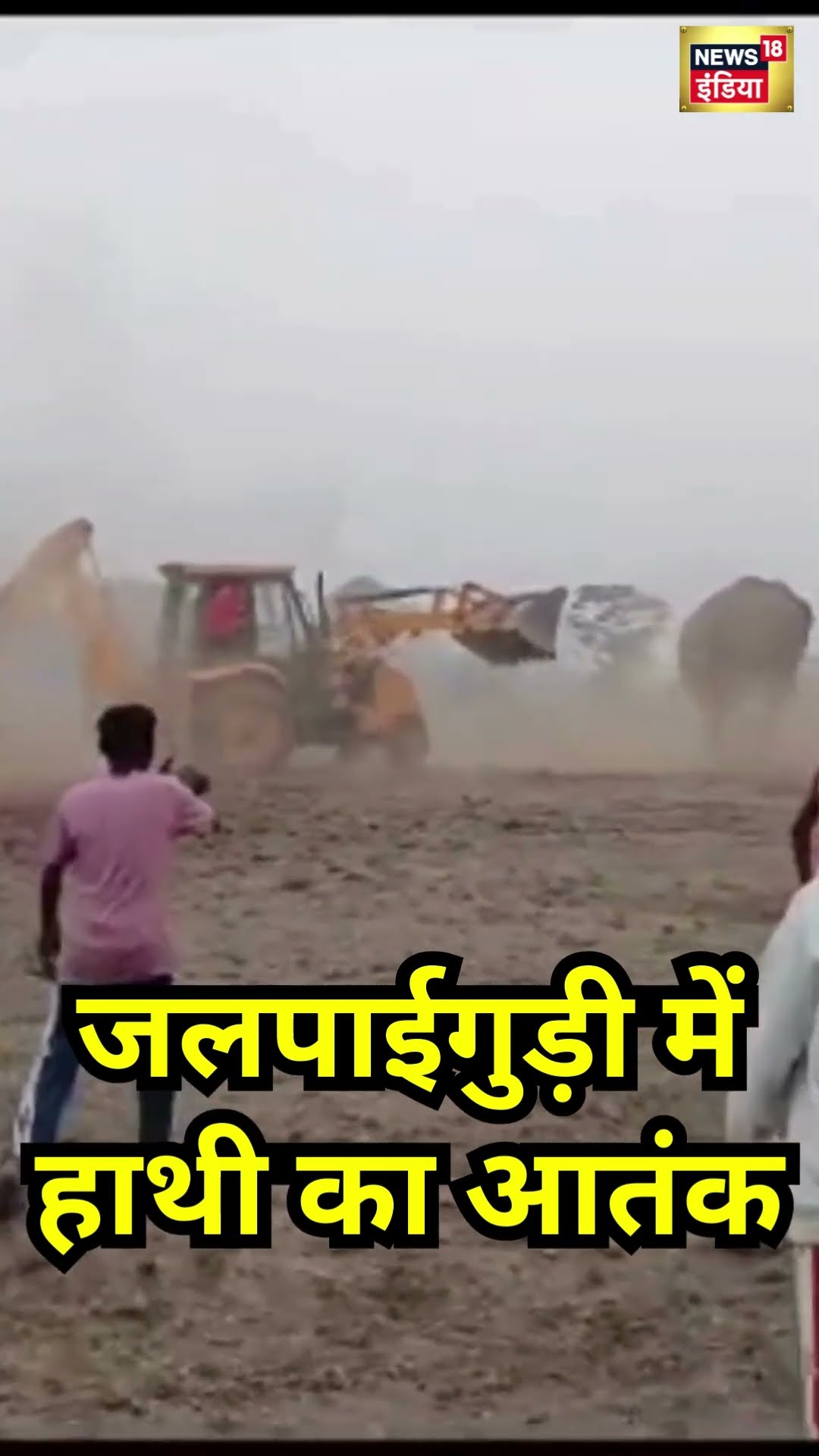 Jalpaiguri के मालबाज़ार में हाथी का आतंक, विडियो वायरल । #shorts । N18S