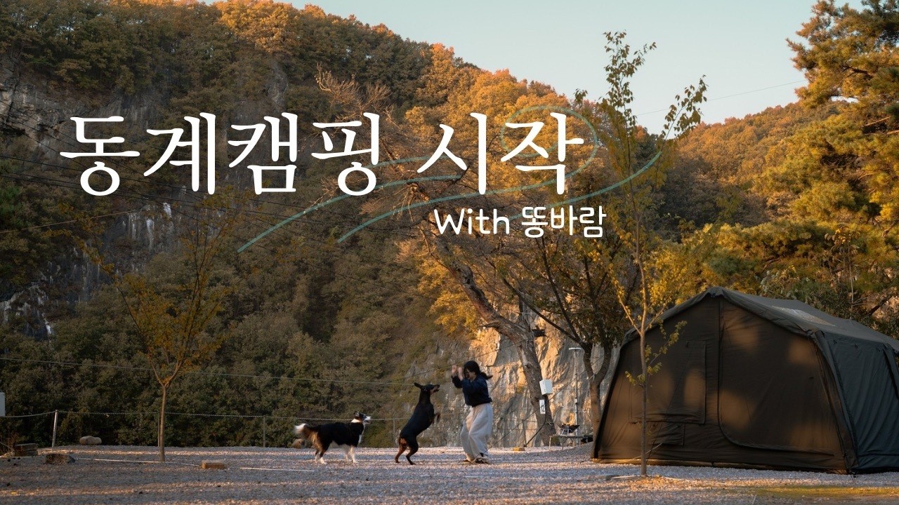 동계캠핑 시작🥶영하 2도 바람 부는 절벽뷰 캠핑장에서 대형견과 힐링캠핑하기ㅣ에어노크 10.0st 타프도킹ㅣ파세코 CAMP-30