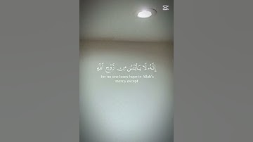 ولا تايئسوا من روح الله_فضيله الشيخ خالد الجليل #تلاوة_خاشعة #قرآن #quran #quotes #اكسبلور #funny