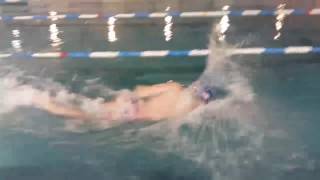 Franz Mueller Mens Swimming (Fall 2017)