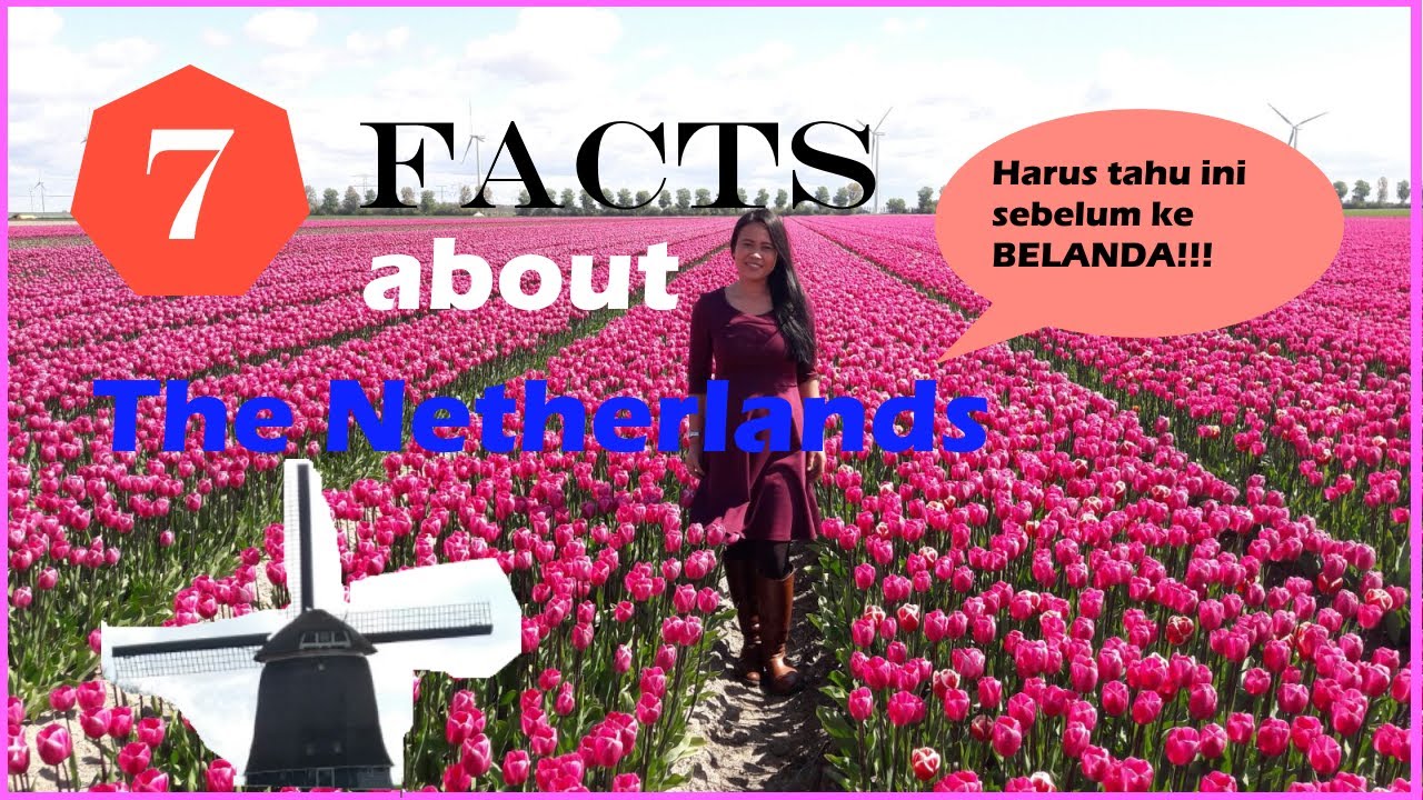 Fakta Tentang Belanda [7 Facts About The Netherlands] Youtube