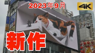 4K ネコ歩き～新宿巨大猫2023年9月新作「ねこ&エコー」～