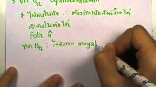 ormBio ver2 : สารชีวโมเลกุลและสารเคมีที่เป็นองค์ประกอบของเซลล์ ตอน06