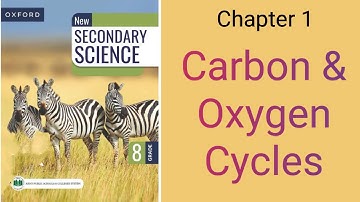 Carbon and oxygen cycle and it