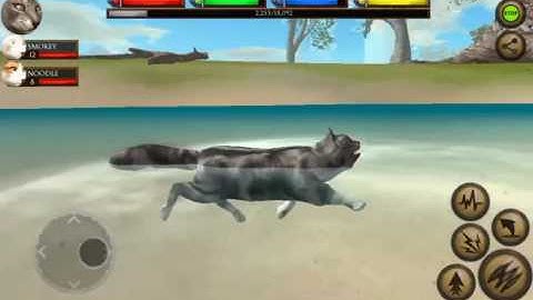 Ultimate Cat Simulator Episode 5: SKATEBOARD,NOOO!!