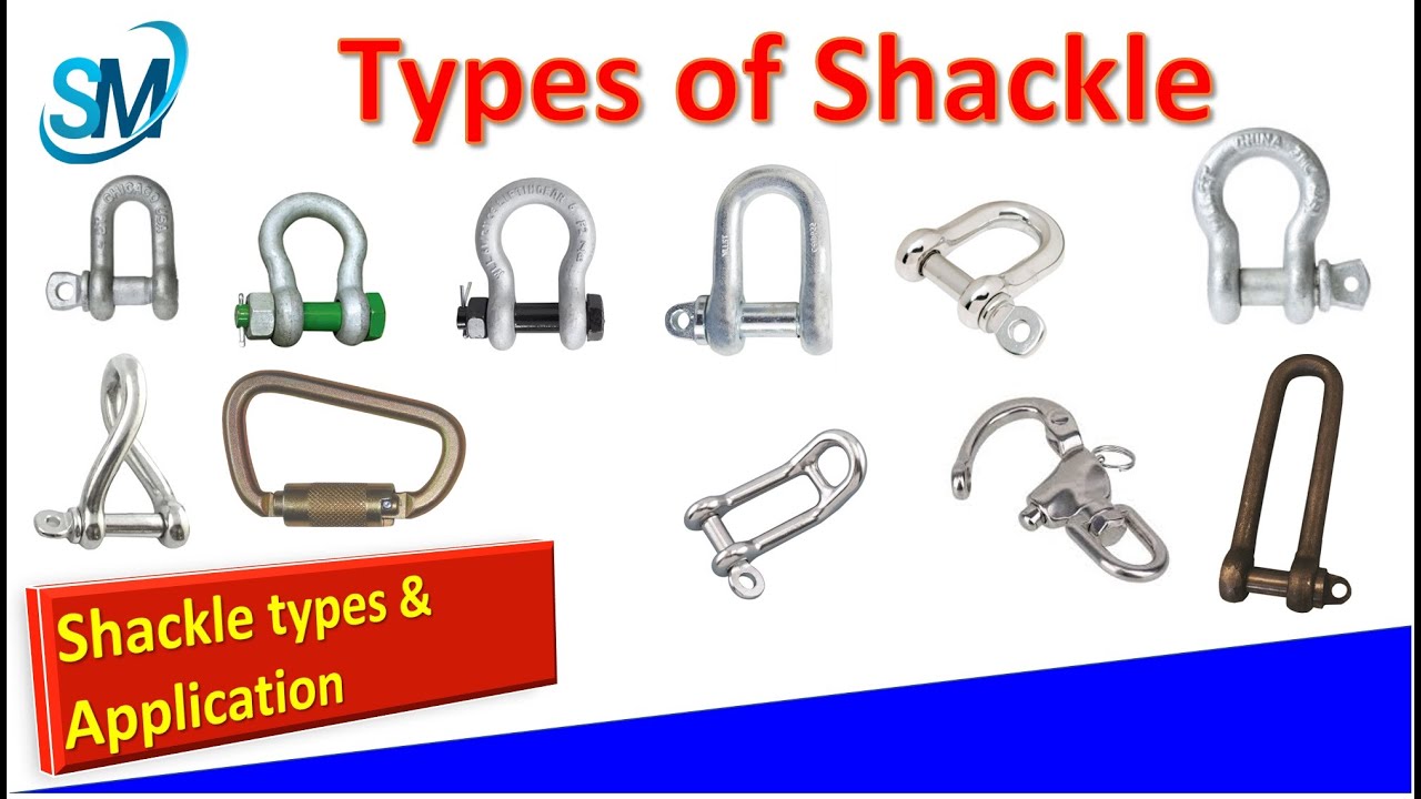 Shackles Shackle Types Types of Shackle & it's Application