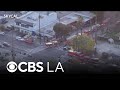Tree trimmer falls and dies in Canoga Park