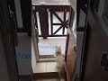 Как обрабатываю поверхности после кормления Птени