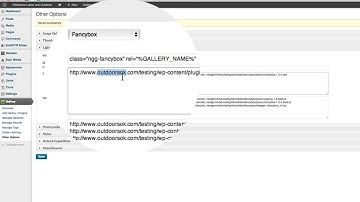 NextGEN Gallery Basic Lightboxes Not Working But Pro Lightbox Is