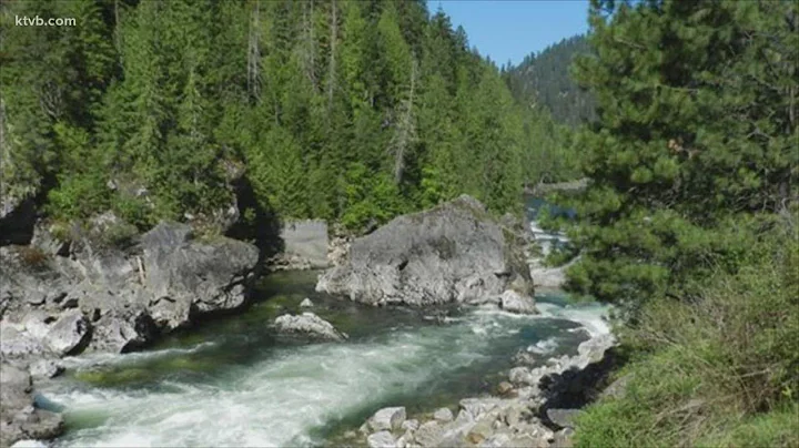 Skull fragment found near Selway River identified ...