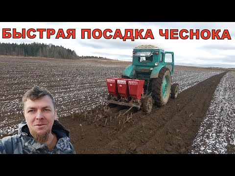 МЕХАНИЗИРОВАННАЯ ПОСАДКА ОЗИМОГО ЧЕСНОКА