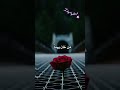 لا تبكي على كأس انكسر